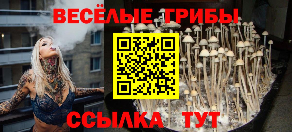 Ливны  Галлюциногенные грибы MAGIC MUSHROOMS  Псилоцибиновые грибы GOLDEN TEACHER  Вход с VPN 