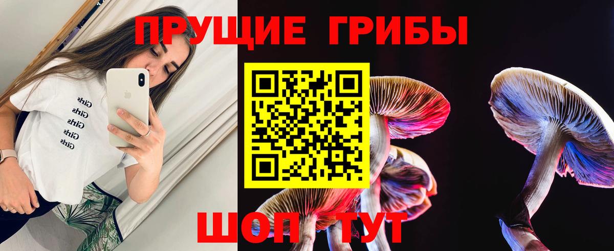 Псилоцибиновые грибы Cubensis Ливны